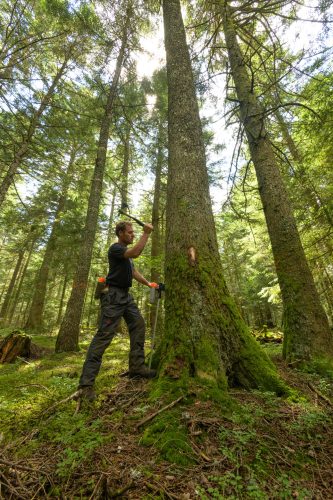Mazet_J_reportage Ténezère 2024-19_Martellage